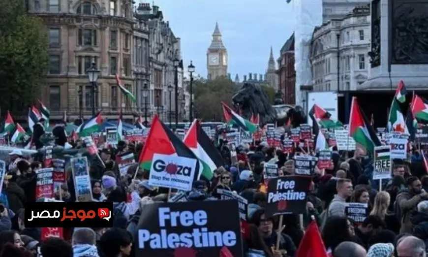 الهيئة الدولية لدعم حقوق الفلسطينيين تدعو إلى ضغط عالمي لوقف الحرب على غزة