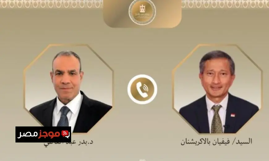 وزير الخارجية يؤكد ضرورة تعزيز التعاون بين مصر وسنغافورة لتحقيق التنمية المشتركة