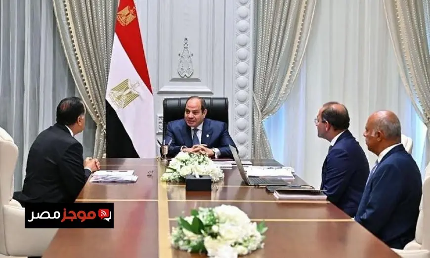 الرئيس السيسي يسلط الضوء على أهمية تعزيز الانضباط المالي في الحكومة واستمرار الجهود لتحقيق ذلك