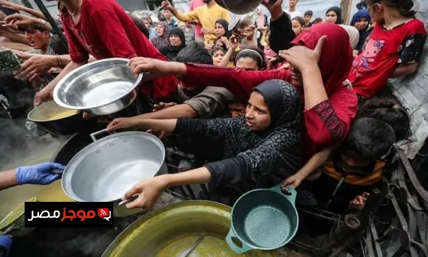 مليون فتاة وامرأة في غزة يواجهون المجاعة الجماعية وفق الأونروا