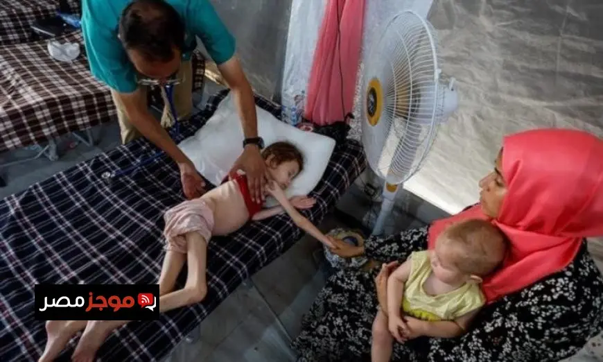 استشهاد 3 فلسطينيين بسبب المجاعة وسوء التغذية في غزة