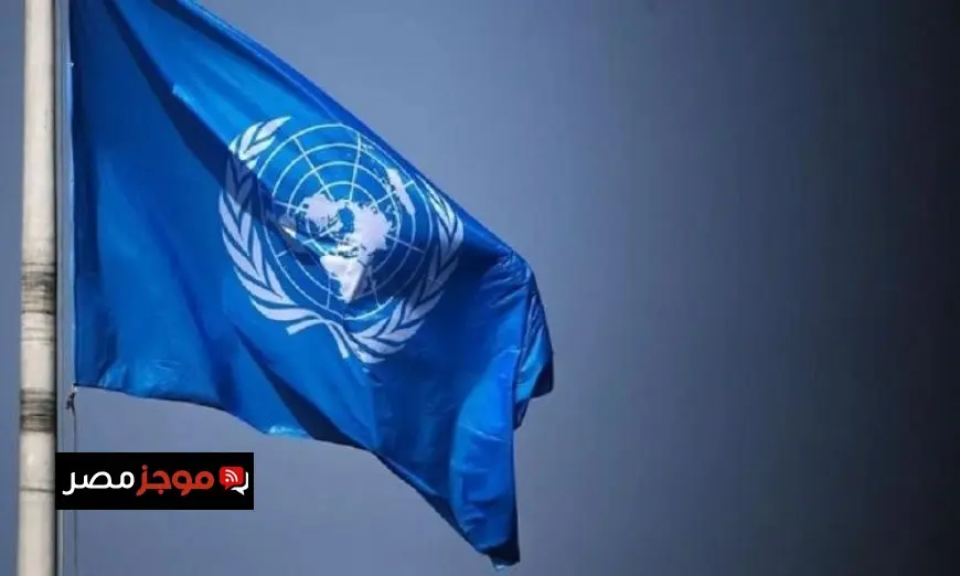 الأمم المتحدة تحذر من تدمير منهجي وتهجير قسري جراء هجمات إسرائيل في غزة تهدد حياة المدنيين