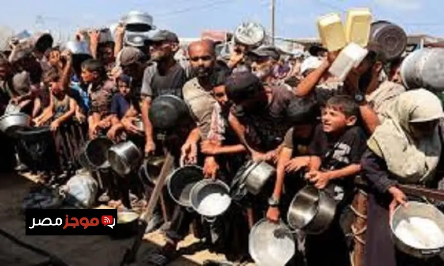 الهيئة الدولية لدعم فلسطين تؤكد أن إعلان المجاعة في غزة هو إدانة صريحة لجرائم إسرائيل