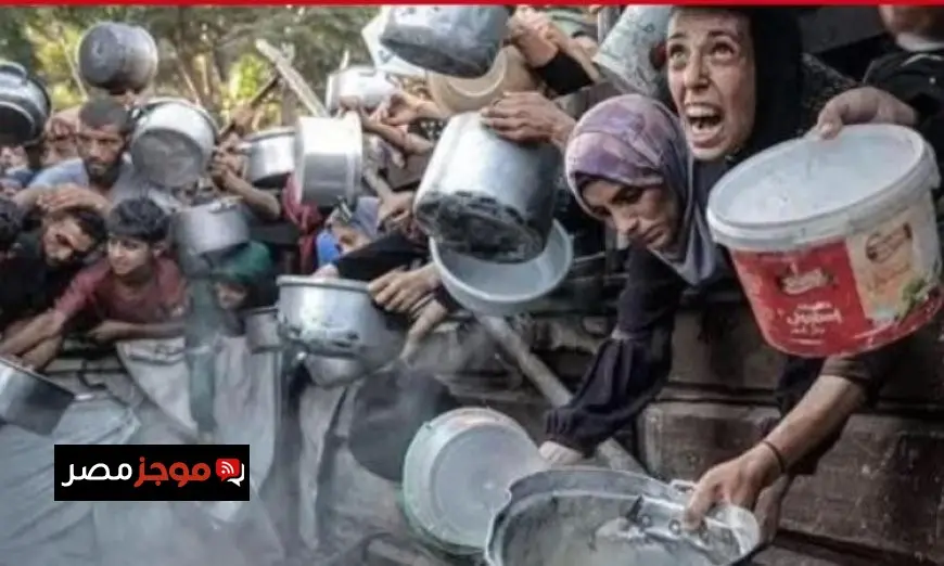 ارتفاع عدد شهداء التجويع في غزة إلى 281 بينهم 114 طفلاً وفقاً لوزارة الصحة