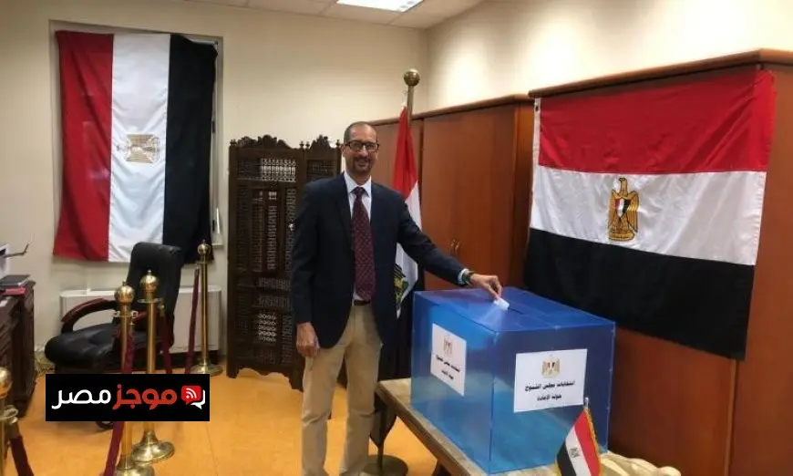 استمرار تصويت المصريين في الدول الإفريقية والأوروبية والعربية中