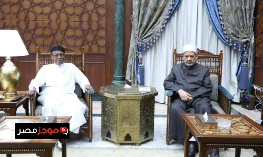 الطيب يناقش تعزيز الدعم الأزهرى للشعب التشادي مع رئيس جامعة الملك فيصل بتشاد