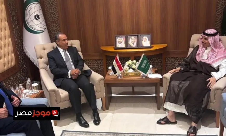 وزير الخارجية ونظيره السعودي يعززان العلاقات السعودية المصرية بزخم متزايد