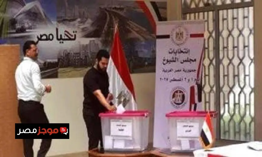 تصويت المصريين في الأردن لجولة الإعادة لانتخابات الشيوخ يختتم اليوم الأول بنجاح