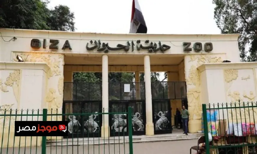 تحالف حديقة الحيوان وحديقة الأورمان يستعين بخبراء رعاية بيطرية متميزين للتطوير