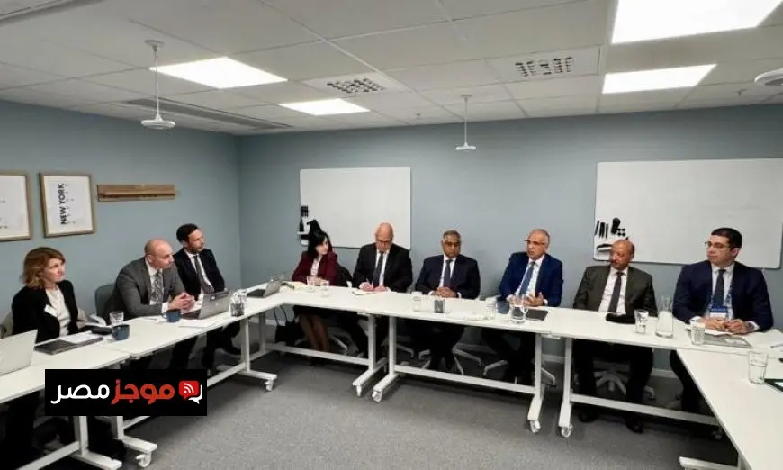 وزير الري يشدد على أهمية التعاون التكنولوجي مع مجلس الاستثمار السويدي وتعزيز تبادل الخبرات