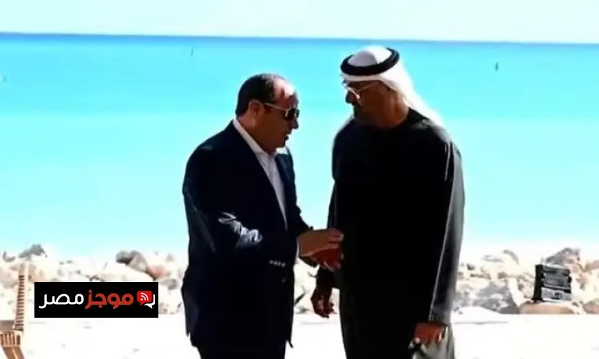 المتحدث الرئاسي يشارك فيديو حصري للقاء الرئيس السيسي مع رئيس دولة الإمارات