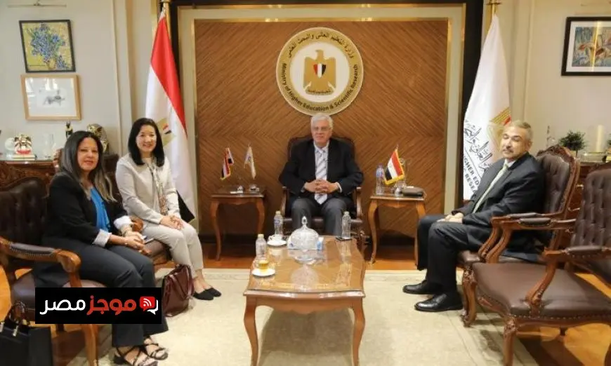 عاشور يستعرض آليات تعزيز التعاون مع برنامج الأمم المتحدة الإنمائي في مصر