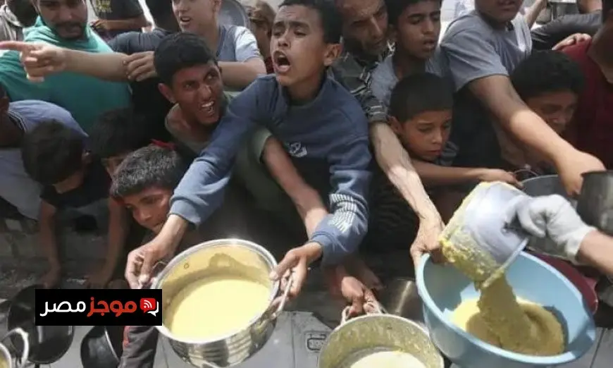 هيئة دولية تحذر من حصار 1.1 مليون فلسطيني في منطقة لا تتجاوز 25 كم