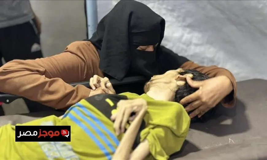 مأساة في غزة وفاة 7 فلسطينيين بسبب التجويع وسوء التغذية
