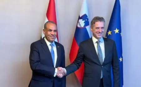 وزير الخارجية يعقد مباحثات مع رئيس وزراء سلوفينيا لتعزيز آليات التعاون المشترك
