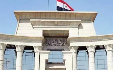 الدستورية تؤكد أن التمييز في مدة تقادم الرسوم بين الجهة والملتزم يتعارض مع أحكام الدستور