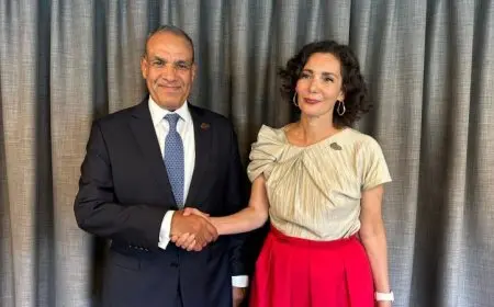 عبد العاطي يناقش العلاقات الثنائية والتطورات الإقليمية مع المفوضة الأوروبية