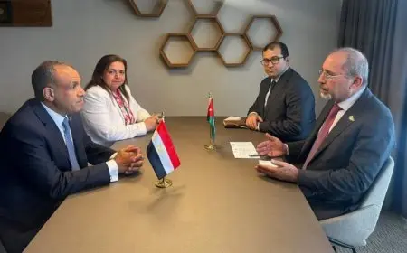 وزير الخارجية المصري والأردني يبرزون موقفهم الرافض للعدوان الإسرائيلي والتهجير في غزة