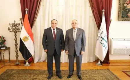 رئيس مجلس الدولة يثني على إنجازات الوطنية للانتخابات في انتخابات مجلس الشيوخ