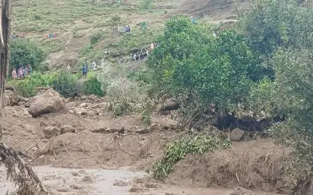 انزلاق أرضي مروع في دارفور بالسودان يسفر عن مقتل أكثر من ألف شخص