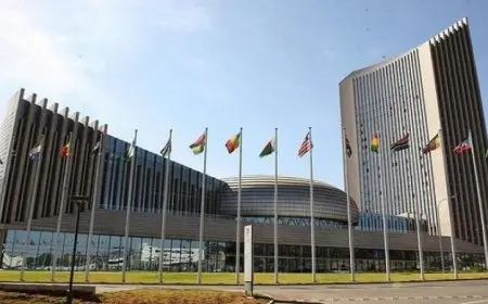 القمة الأفريقية الكاريبية الثانية تنطلق السبت المقبل لتعزيز التعاون والتواصل الدولي