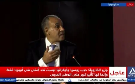 وزير الخارجية يحذر من تجاهل العالم للإبادة الجماعية في غزة