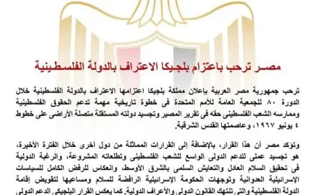 مصر تدعم خطوة بلجيكا نحو الاعتراف بالدولة الفلسطينية