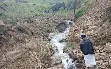 الاتحاد الإفريقي يطالب بوقف إطلاق النار بعد الانزلاق الأرضي المأساوي في السودان