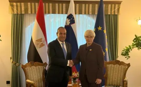 وزير الخارجية ينقل تحيات الرئيس السيسي إلى رئيسة جمهورية سلوفينيا