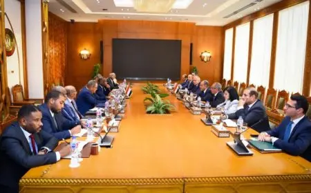 بيان مشترك من مصر والسودان يؤكد أن سد النهضة ينافي القانون الدولي ويؤدي إلى آثار خطيرة