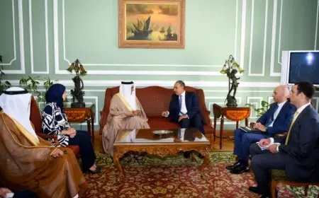 وزير الخارجية يناقش مع نظيره البحريني طرق تعزيز التعاون الثنائي