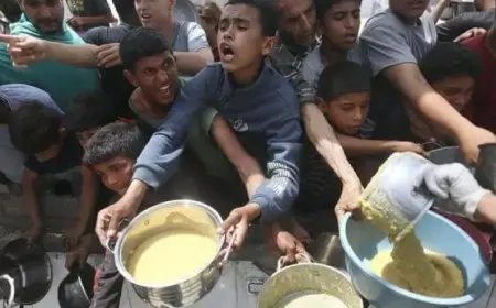 استشهاد 3 مدنيين آخرين في غزة بسبب المجاعة وارتفاع حصيلة الضحايا إلى 370 بسبب سوء التغذية