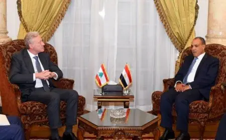 وزير الخارجية يؤكد لنظيره اللبناني ضرورة وقف الاعتداءات الإسرائيلية فوراً