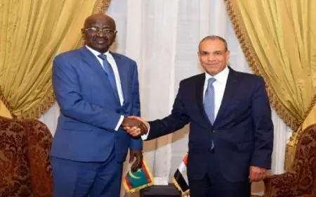 وزير الخارجية ونظيره الموريتاني يطالبان بوقف فوري للعدوان على قطاع غزة