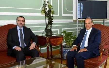 وزير الخارجية المصري يؤكد دعم مصر القوي لوحدة وسلامة سوريا ومؤسساتها الوطنية