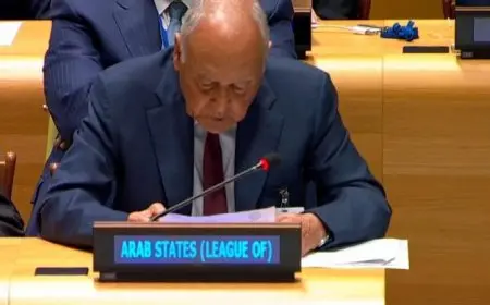 أبوالغيط يؤكد إجماع عربي حول ضرورة إنهاء حرب الإبادة ضد الشعب الفلسطيني