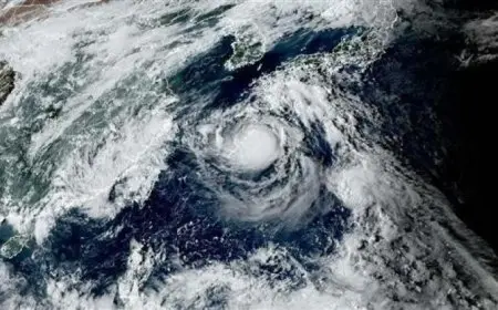 عاصفة استوائية قوية تدمر محافظة واكاياما في اليابان تحت اسم بيباه