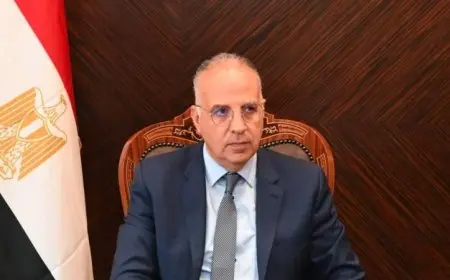 وزير الري يبرز دعم مصر الثابت للأشقاء الأفارقة من خلال تنفيذ مشروعات مياه متعددة