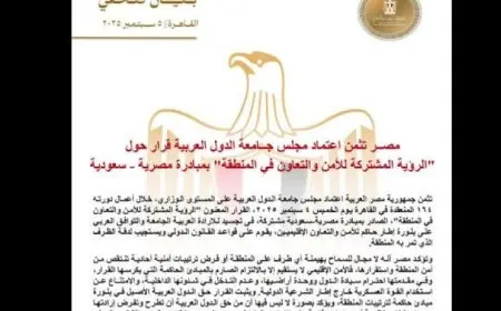 مصر تحتفل باعتماد الجامعة العربية قرار الرؤية المشتركة للأمن في المنطقة