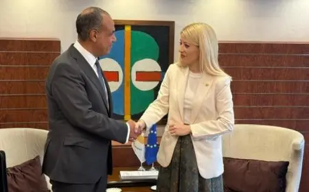 وزير الخارجية يجتمع برئيسة مجلس النواب القبرصية لتعزيز التعاون الثنائي