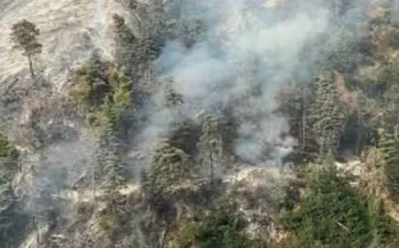 حرائق الغابات تهدد جودة الهواء عالميا وتأثيرها يمتد لآلاف الكيلومترات