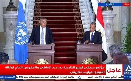 وزير الخارجية يكشف عن المجاعة الكاملة في غزة ويؤكد أنها من تداعيات الاحتلال الإسرائيلي