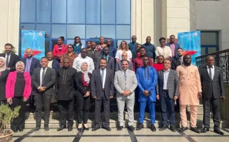 الصحة تعقد ورشة عمل لتعزيز قدرات 13 دولة إفريقية لمكافحة التهاب الكبد الفيروسي