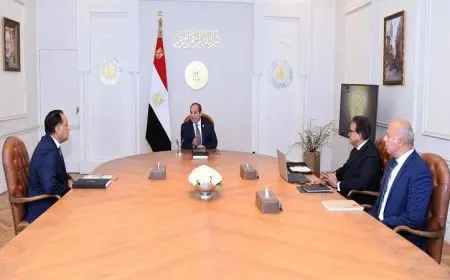 فيديو الرئيس السيسي يستعرض أحدث مؤشرات أداء منظومة التأمين الصحي الشامل