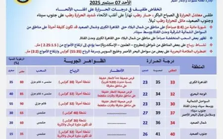 الأرصاد الجوية تحذر من موجة حر رطبة غدا ودرجات الحرارة تصل إلى 33 في القاهرة