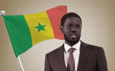 الرئيس السنغالي يكشف عن تشكيل حكومة جديدة لتعزيز النمو والتنمية في البلاد