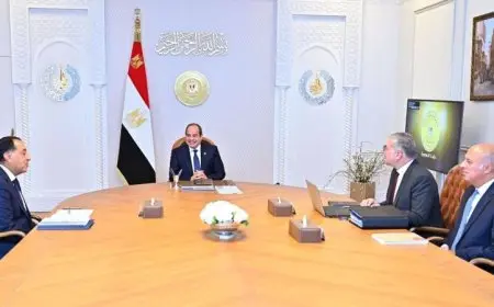 الرئيس السيسي يؤكد على أهمية تطوير الآبار الجديدة وزيادة أنشطة البحث والتنقيب