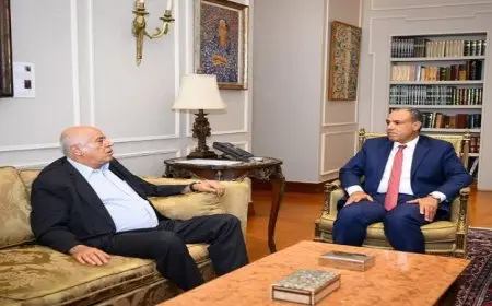 عبد العاطي يؤكد رفضه للعمليات العسكرية في غزة ومخططات التهجير والإبادة