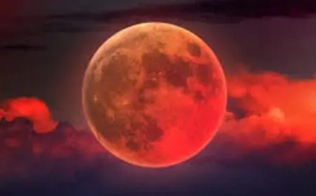 الأوقاف تختم فعاليات خسوف القمر بتجارب فريدة وجذابة