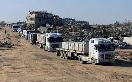 قافلة المساعدات الإنسانية الثانية والثلاثون تصل إلى الفلسطينيين في غزة